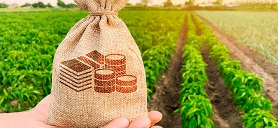 DIPAM: PRODUTORES RURAIS DEVEM ENTREGAR NOTAS FISCAIS