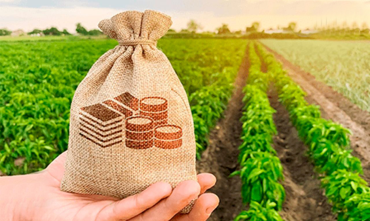 DIPAM: PRODUTORES RURAIS DEVEM ENTREGAR NOTAS FISCAIS