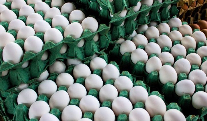 OVOS BRANCOS: QUEDA DE PREÇO E FORNECEDORES EM DESTAQUE