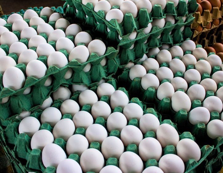 OVOS BRANCOS: QUEDA DE PREÇO E FORNECEDORES EM DESTAQUE