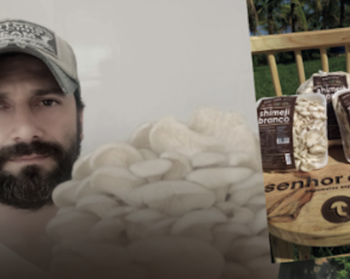 SHIMEJI: A TRANSFORMAÇÃO DE RAFAEL VERONEZE EM EMPREENDEDOR