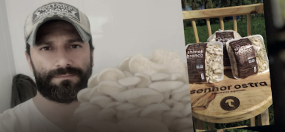 SHIMEJI: A TRANSFORMAÇÃO DE RAFAEL VERONEZE EM EMPREENDEDOR