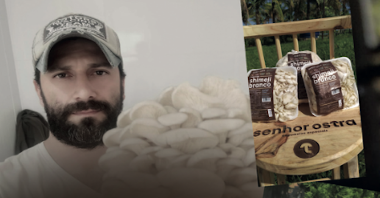 SHIMEJI: A TRANSFORMAÇÃO DE RAFAEL VERONEZE EM EMPREENDEDOR