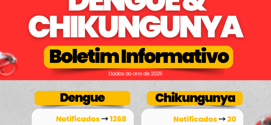 Ilha Solteira entra em alerta para dengue e reforça importância da vacinação