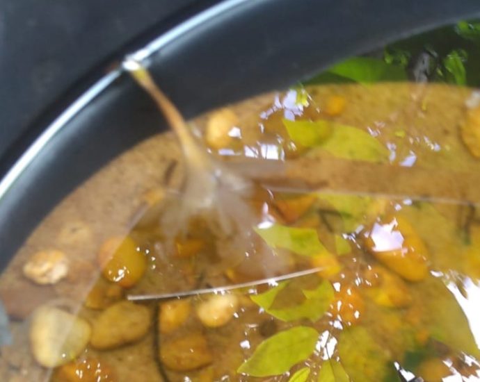 Vigilância Epidemiológica alerta para risco de aumento da dengue com a chegada do período chuvoso