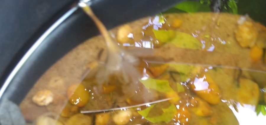 Vigilância Epidemiológica alerta para risco de aumento da dengue com a chegada do período chuvoso