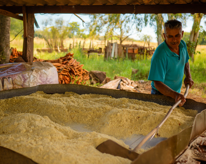 FARINHA DE MANDIOCA CASEIRA EM CASTILHO SP: 7 DÉCADAS DE SABOR, TRABALHO E RESISTÊNCIA