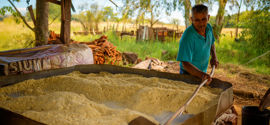 FARINHA DE MANDIOCA CASEIRA EM CASTILHO SP: 7 DÉCADAS DE SABOR, TRABALHO E RESISTÊNCIA
