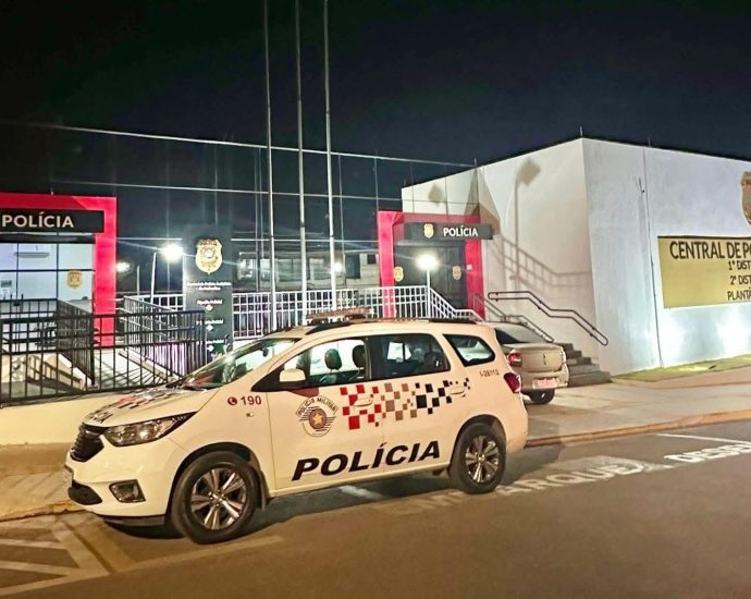 FURTO E ESTELIONATO: HOMEM PRESO EM ANDRADINA (SP)