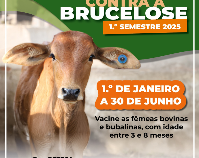 VACINAÇÃO CONTRA BRUCELOSE EM CASTILHO SP SEGUE ATÉ 30 DE JUNHO DE 2026