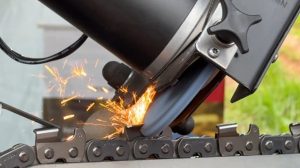 FEIRA FLORESTAL 2025FEIRA FLORESAL 20 08 16 scaled 1