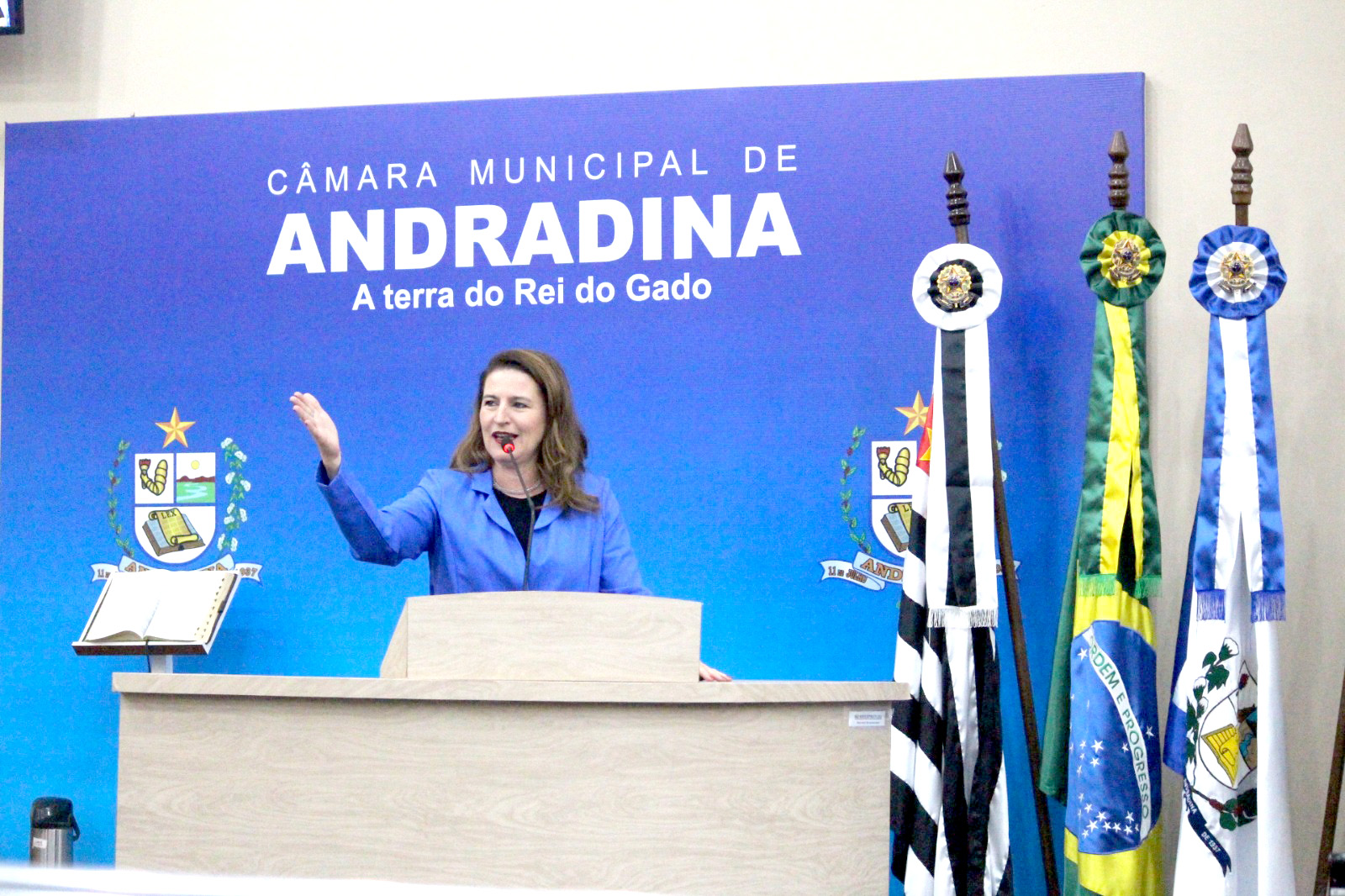 ATENDIMENTO NAS UBS: DESAFIOS E SOLUÇÕES PARA A POPULAÇÃO