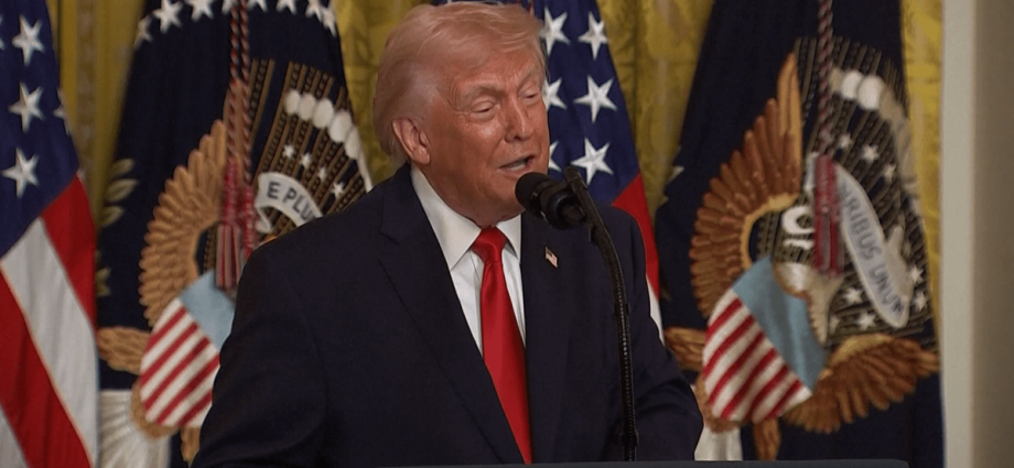 Trump Ordena Envio de Agentes do ICE para Aeroportos Americanos