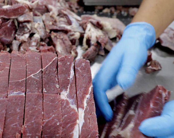Brasil Autoriza Exportação de Carne Bovina para a Guatemala