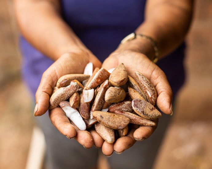 Suzano: Impacto Social e Combate à Pobreza em Regiões Vulneráveis