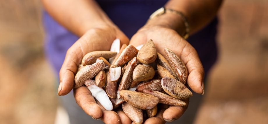 Suzano: Impacto Social e Combate à Pobreza em Regiões Vulneráveis