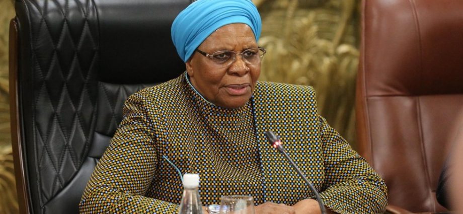 Namíbia e Rússia: Fortalecendo Laços em Diversas Áreas