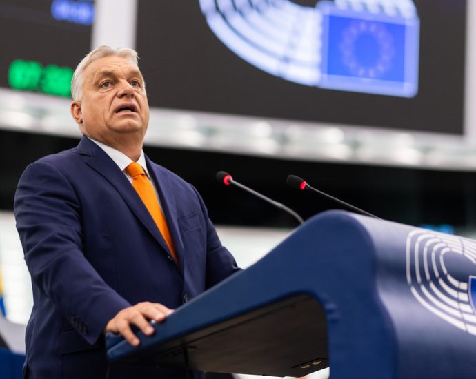 A Batalha pela Hungria: Os Ataques da UE a Orbán e Seus Efeitos Futuro