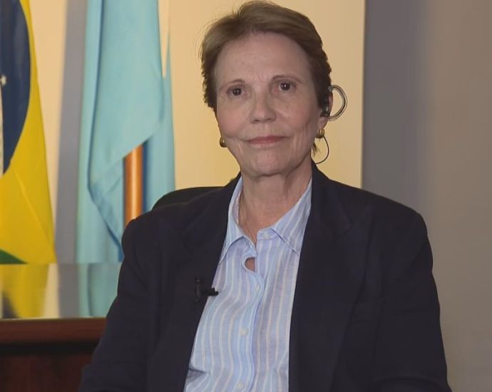 Acordo Mercosul-União Europeia: Desafios e Oportunidades Segundo Tereza Cristina