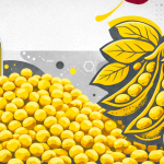 Brasil Rumo a um Recorde Histórico no Processamento de Soja em 2026