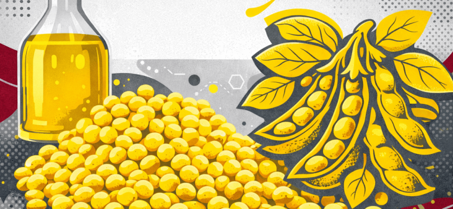 Brasil Rumo a um Recorde Histórico no Processamento de Soja em 2026