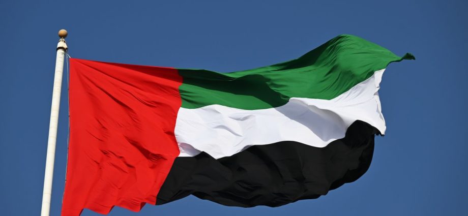 Ataque com Drone Suspende Operações no Campo de Gás Shah nos Emirados Árabes Unidos