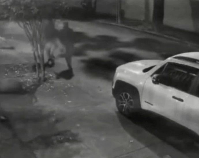 Seis homens são detidos após ataque violento a capivara no Rio de Janeiro