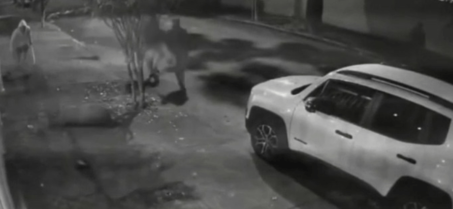 Seis homens são detidos após ataque violento a capivara no Rio de Janeiro