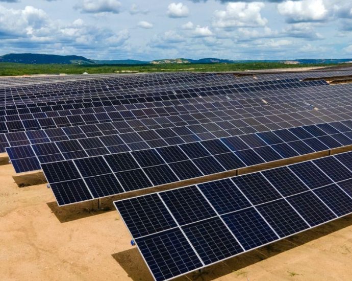 Risco Financeiro e Desafios na Infraestrutura: Análise de Pesquisa da KPMG