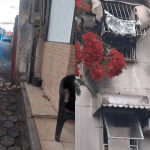 Tragédia em Recife: Incêndio em Apartamento Resulta na Morte de Dois Irmãos