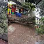 Impacto dos Eventos Climáticos sobre a População Brasileira: Uma Análise Detalhada