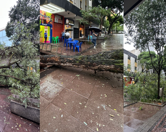 Impacto dos Eventos Climáticos sobre a População Brasileira: Uma Análise Detalhada