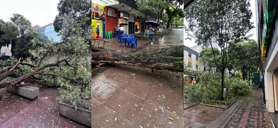 Impacto dos Eventos Climáticos sobre a População Brasileira: Uma Análise Detalhada