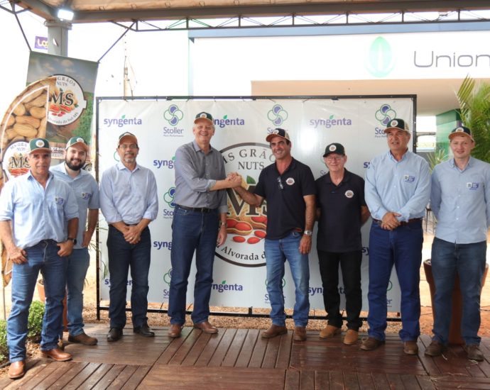 Crescimento da Cadeia do Amendoim em Mato Grosso do Sul: Novos Investimentos à Vista