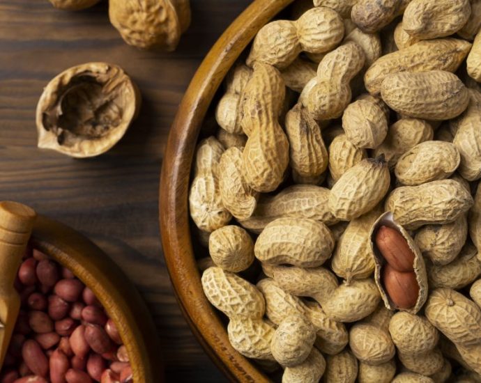 Produção de Amendoim no Brasil: Expectativas para a Safra 2025/26