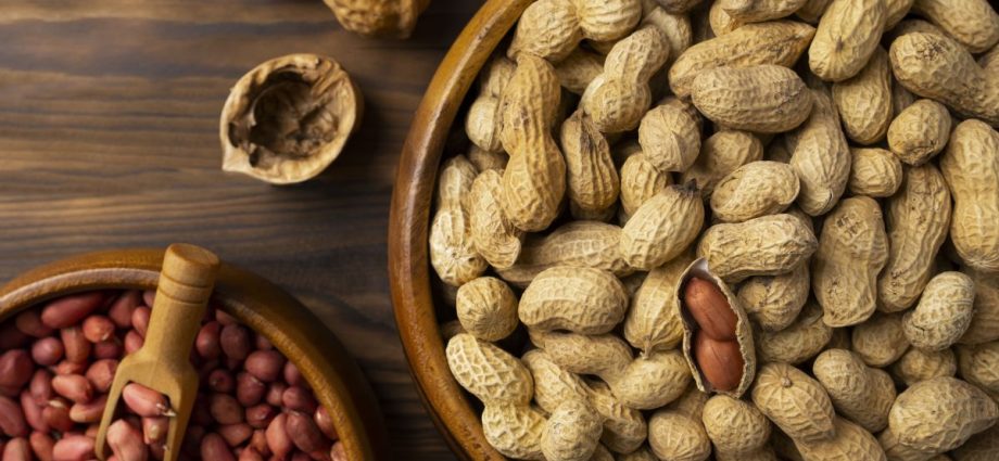 Produção de Amendoim no Brasil: Expectativas para a Safra 2025/26