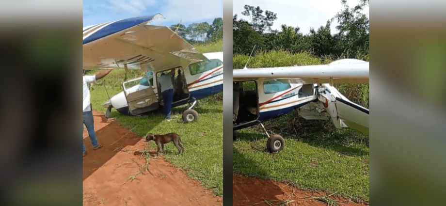 Avião de pequeno porte cai em aldeia indígena no Pará sem deixar feridos