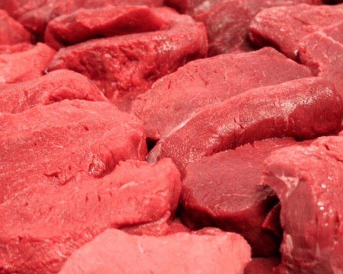 Crescimento das Exportações de Carne Bovina Brasileira em 2026