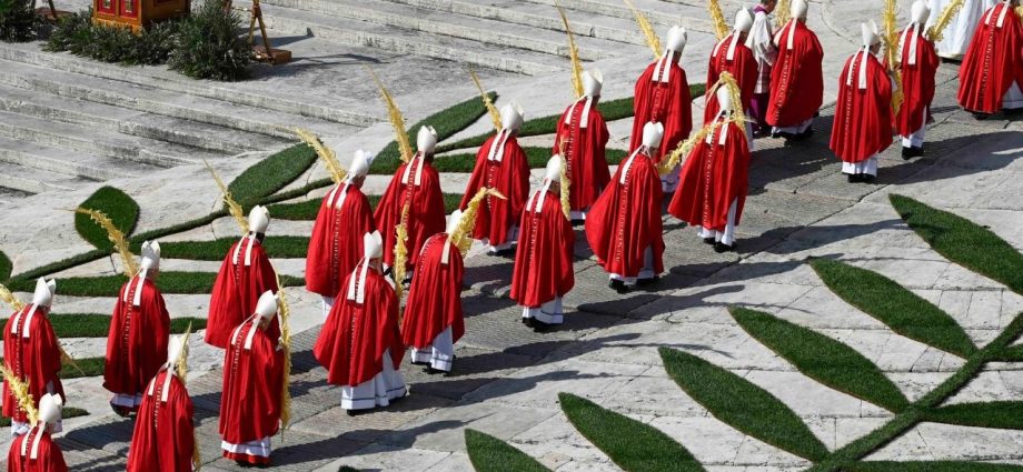 Reflexões do Papa: Um Chamado à Paz em Tempos de Conflito