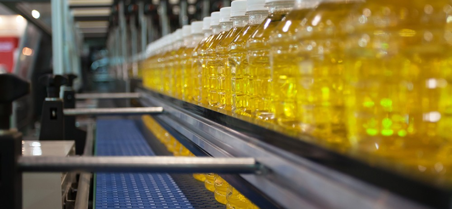 Mato Grosso do Sul Registra Exportações de Produtos Industrializados de US$ 646,4 Milhões em Fevereiro