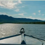 Beleza Natural do Pantanal Sul-Mato-Grossense em Vídeo da PMA