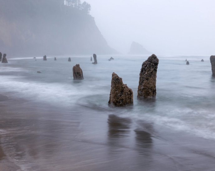 Cascadia: A Zona de Subducção e Seus Riscos Sísmicos