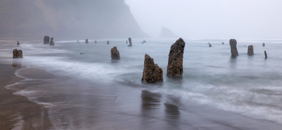 Cascadia: A Zona de Subducção e Seus Riscos Sísmicos