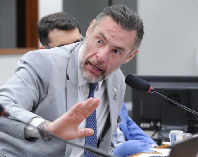 Projeto de Lei Avança em Brasília para Inclusão de ONGs no Combate à Violência contra a Mulher