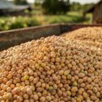 Análise de Mídia: Propostas e Desafios do Setor Agropecuário – 16 e 17 de Março de 2026