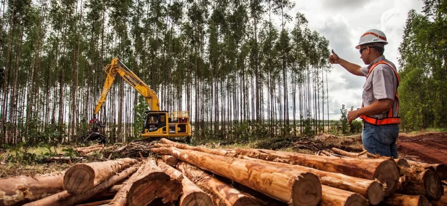 Suzano abre vagas para operadores e mecânicos de máquinas
