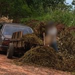 Descarte Irregular em Andradina: Riscos e Penalidades