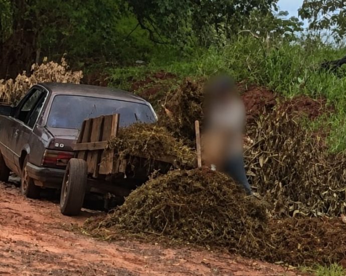 Descarte Irregular em Andradina: Riscos e Penalidades