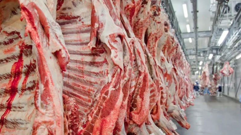 Noticia producao-agropecuaria-e-industria-frigorifica-impulsionam-andradina-nas