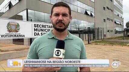 Noroeste paulista concentra mais da metade dos casos de leishmaniose visceral de SP